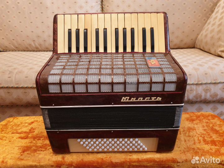 Аккордеон Юность. Видео