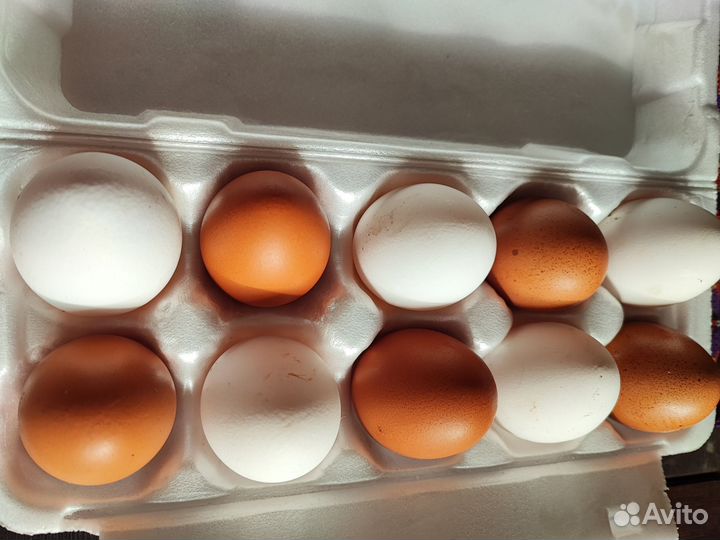 Яйца домашние куриные