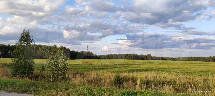 Участок 50 га (СНТ, ДНП)