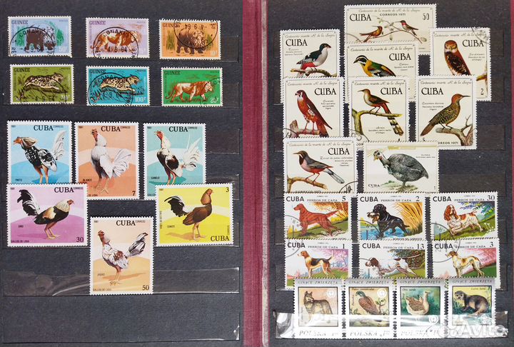 Флора/фауна подборка марок разных стран мира