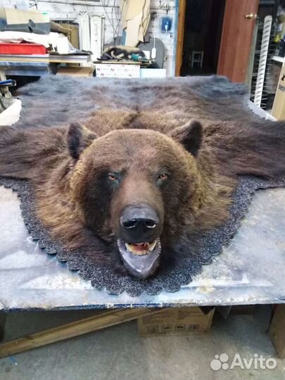 Таксидермия