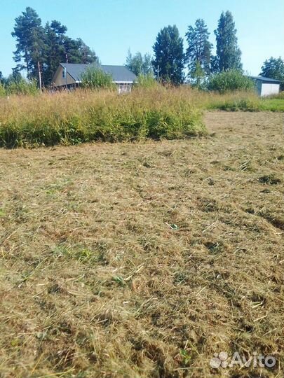 Покос травы триммером