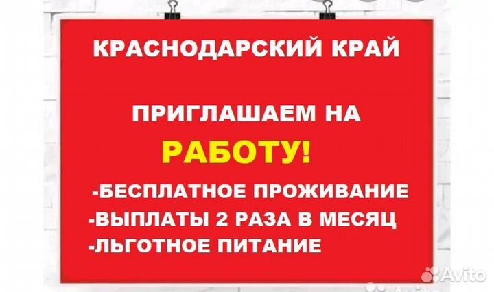 Вахта. Комплектовщик