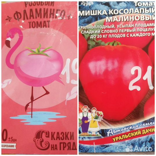 Рассада помидор