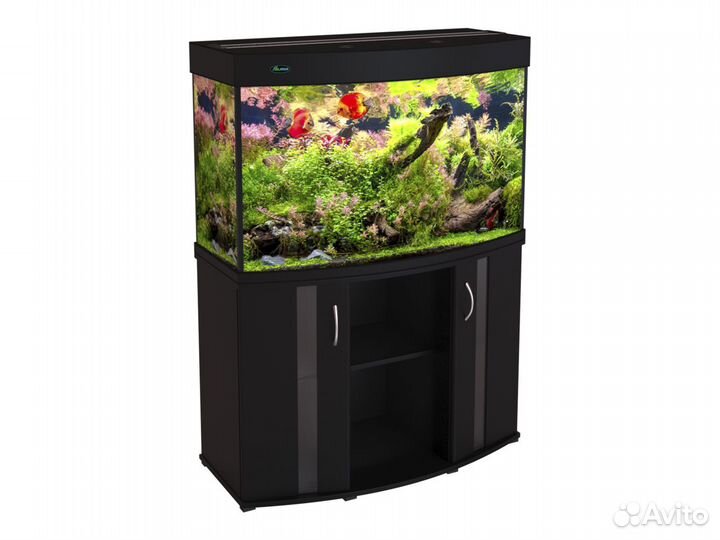 Аквариум панорамный 240л с тумбой и LED-освещением