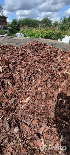 Мульча кора сосны