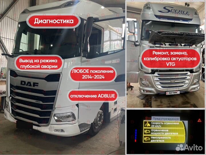 Отключение мочевины (AdBlue), SCR, DPF, EGR грузов