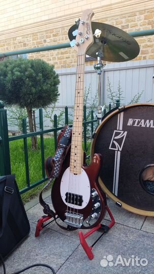 Бас гитара Sterling by Music Man Short Scale