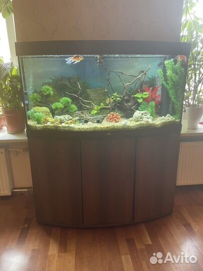 Аквариум с тумбой Juwel