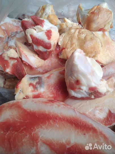 Хрящи говяжьи на корм животным