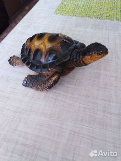 Сувениры с моря