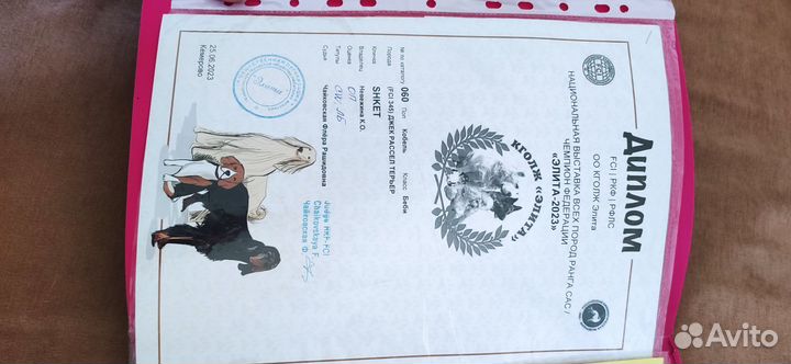 Щенок 7 месяцев