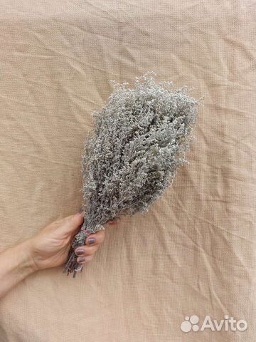 Полынь горькая, полынь лимонная для бани