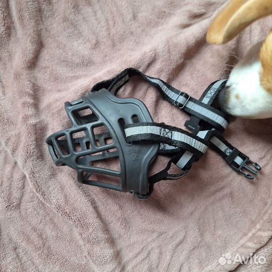 Намордник для собак