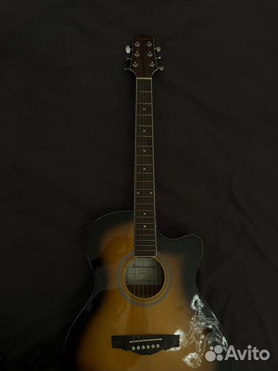 Акустическая гитара Naranda TG120CTS