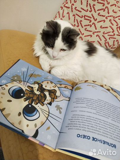 Сказки о снежном барсе