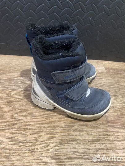 Ботинки демисезонные ecco biom Gore-tex 24р