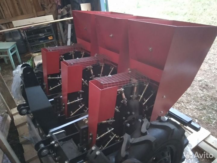 Чеснок сотовой