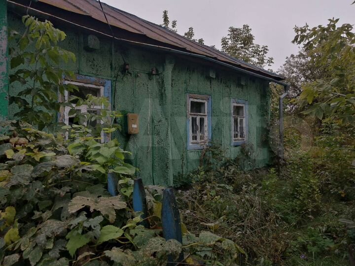 Дом 38 м² на участке 50 сот.