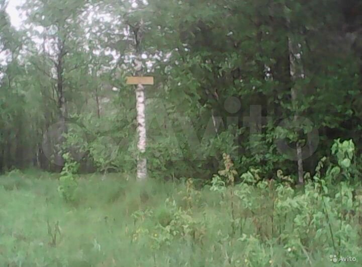 Участок 30 сот. (ИЖС)