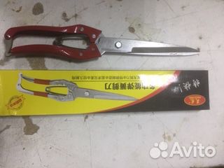 Овца. Ножницы для стрижки овец