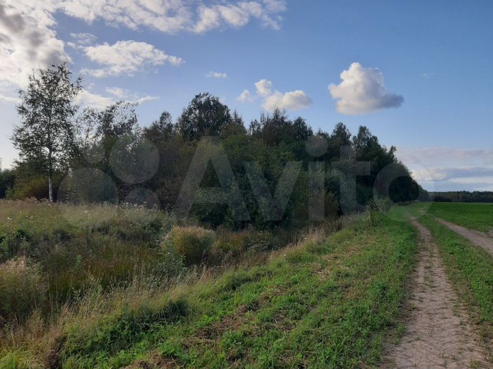 Участок 5,8 га (СНТ, ДНП)