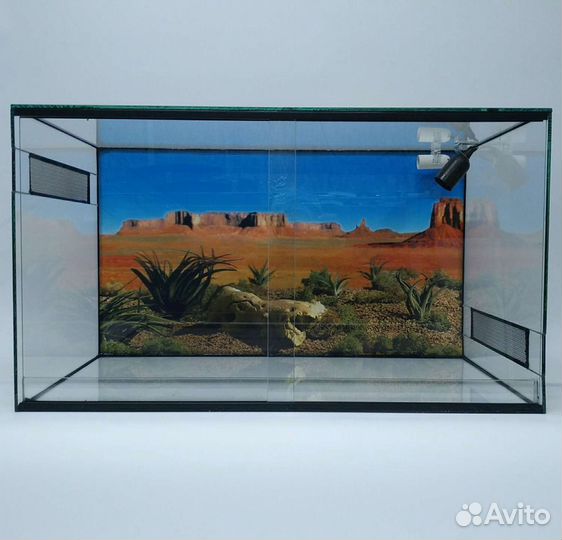 Террариум для агамы