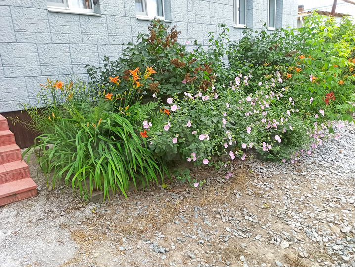 Коттедж 144 м² на участке 13 сот.