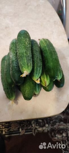 Огурцы свежие