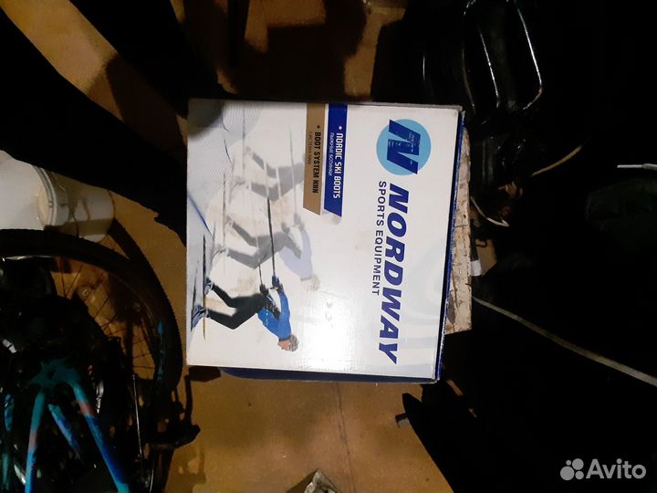 Лыжные ботинки