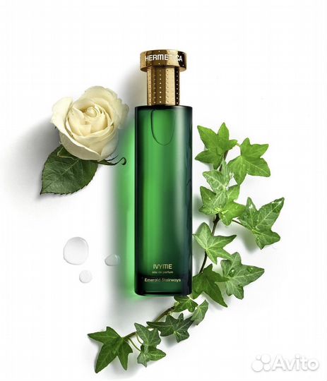 Парфюмерная вода Hermetica Ivyme 50мл edp