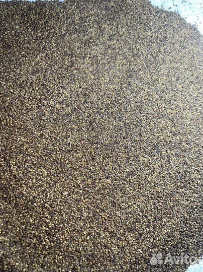 Семена люцерны