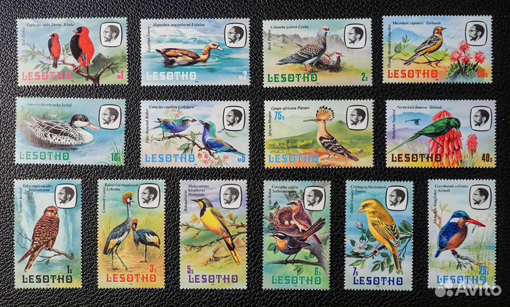 Марки не гашеные фауна 13