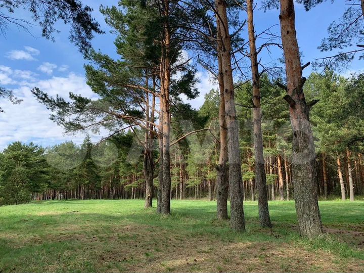 Участок 10 сот. (ИЖС)