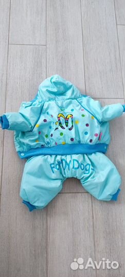 Одежда для животных