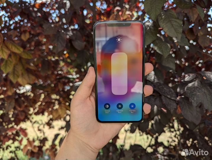 iPhone Xs Max, 256 ГБ