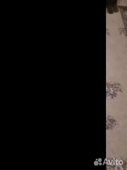 Металлоискатель Nokta Makro Simplex+