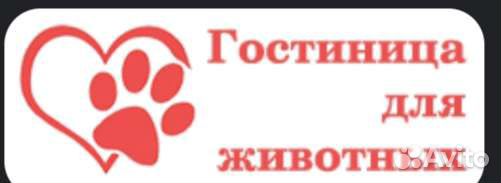 Передержка домашних животных. Гостиница