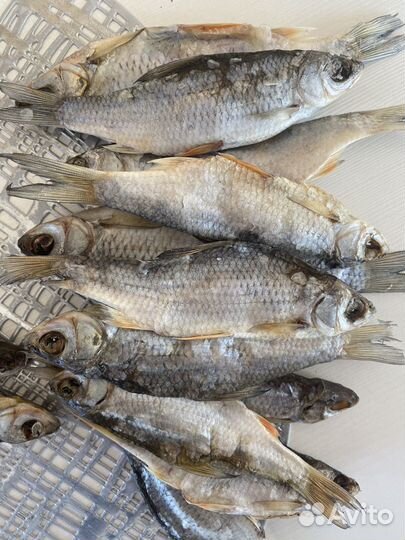 Рыба очень вкусная, вяленая, плотва-окунь