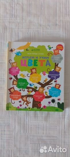 Первый английский словарь и Играем и учим цвета