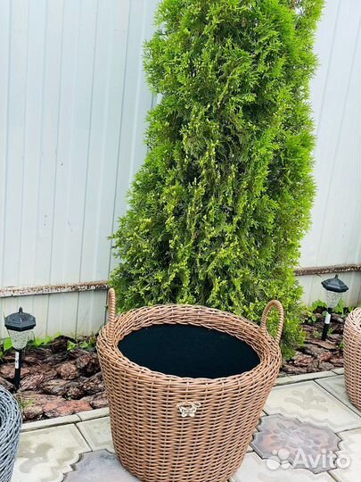 Корзина плетеная из ротанга