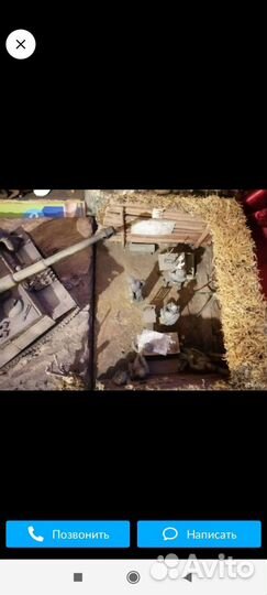 Диорама войны