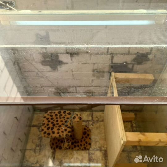 Вольер/террариум для домашних животных