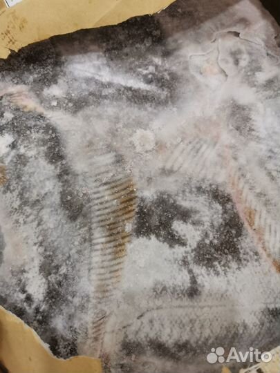 Камбала свежемороженная