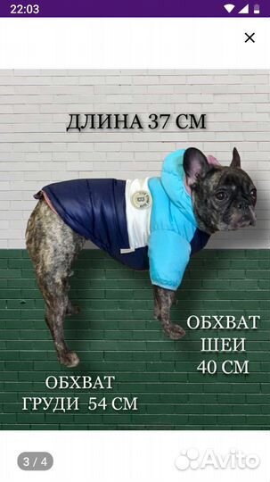 Зимняя куртка для собаки