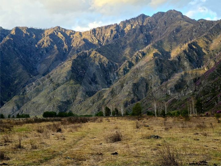 Участок 20 сот. (СНТ, ДНП)