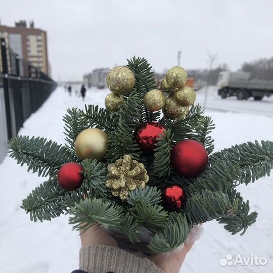 Новогодняя композиция из нобилиса