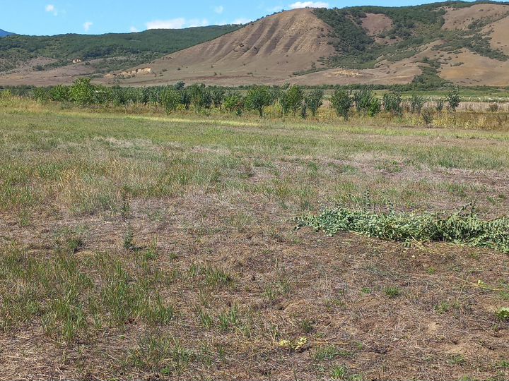 Участок 2 га (СНТ, ДНП)