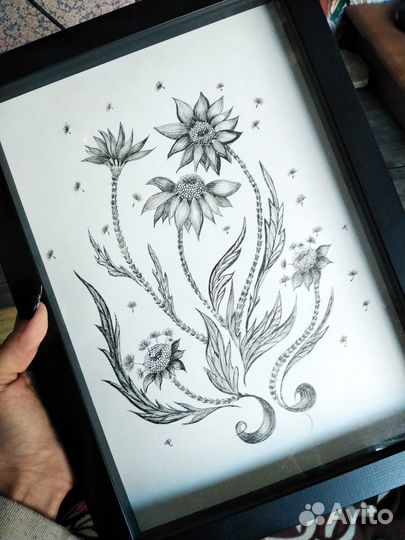 Одуванчики