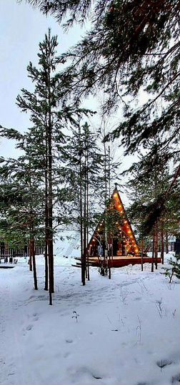 Дом 50 м² на участке 40 сот.